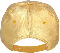 Gouden Pet met Dollar (product achterkant)