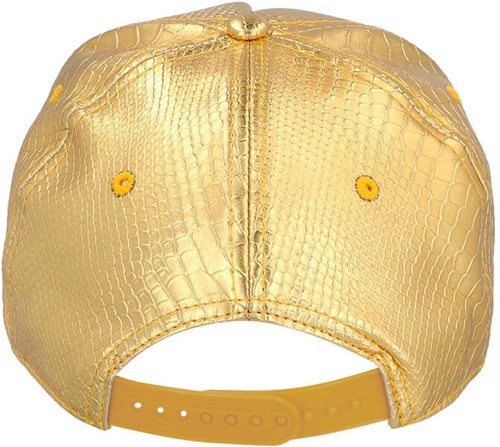 Gouden Pet met Dollar (product achterkant)