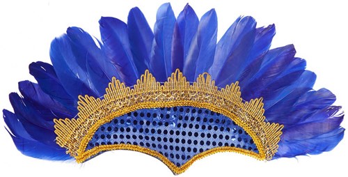 Samba Tooi met Pailletten en Veren Blauw (product)