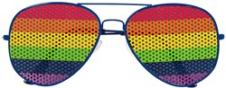 Regenboog Bril Pride 