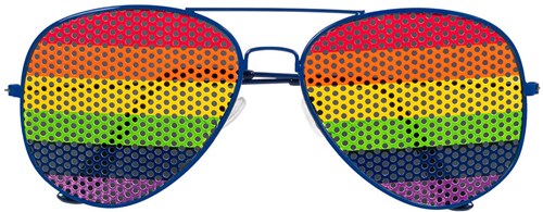 Regenboog Bril Pride 