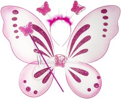 Vleugels Pink + Staf + Tiara