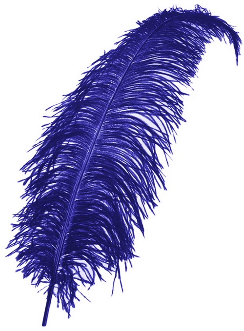 Struisvogelveren 50-60cm Blauw
