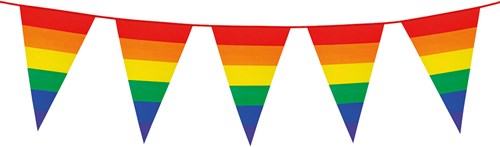 Vlaggenlijn Regenboog Rainbow (8m)
