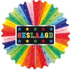 Honeycomb - Waaier Geslaagd Holografisch 45cm