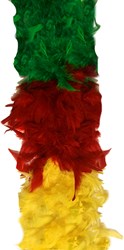 Boa Meerkleurig Sectioned 75 gram Rood-Geel-Groen