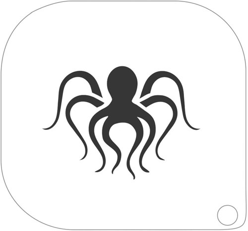 Schminksjabloon Octopus - 8x8cm