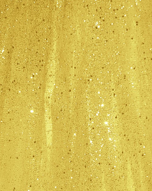 Tule Rokje Goud met Glitter (detail)