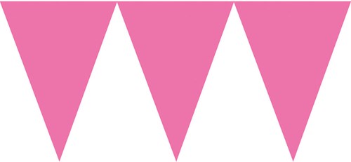 Vlaggenlijn Roze - 4,5m