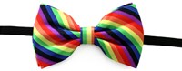 Strikje Satijn Luxe Regenboog Rainbow (2)