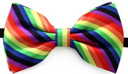 Strikje Satijn Luxe Regenboog Rainbow
