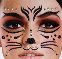 Gezicht Stickers Kat
