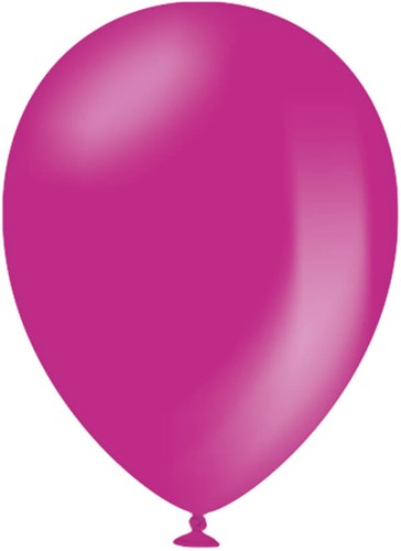 Ballonnen Pink 30cm - 10st