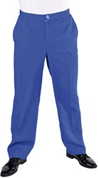 Broek Klassiek Luxe Blauw