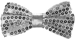 Strik Pailletten Zilver