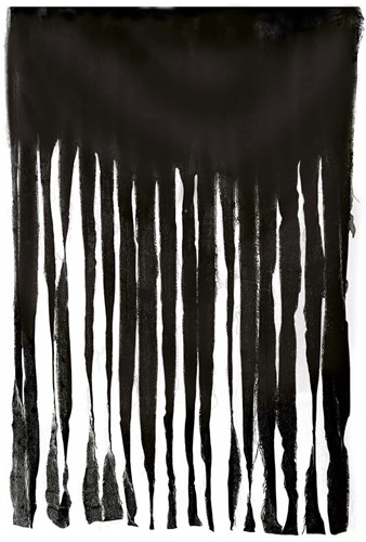Halloween Deurgordijn Zwart - 100x200cm