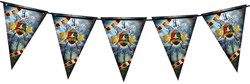 Vlaggenlijn Harry Potter Zweinstein (3m)