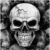 Halloween Servetten Skull 33x33cm - 12st