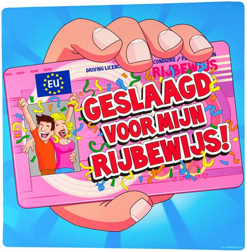 Huldeschild Rijbewijs