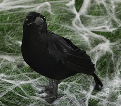 Halloween Decoratie Kraai (25cm)