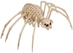 Halloween Decoratie Skelet Spin (35x20cm)