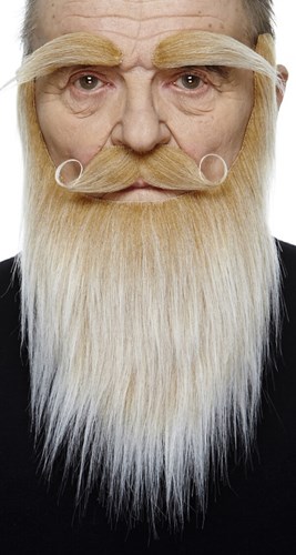 Set Richard Blond - Snor, Wenkbrauwen en Baard