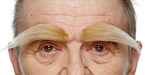 Volle Wenkbrauwen Luxe Blond