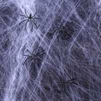 Spinnenweb Brandvertragend 1000gr + 12 Spinnen 