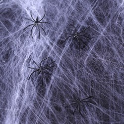 Spinnenweb Brandvertragend 1000gr + 12 Spinnen 