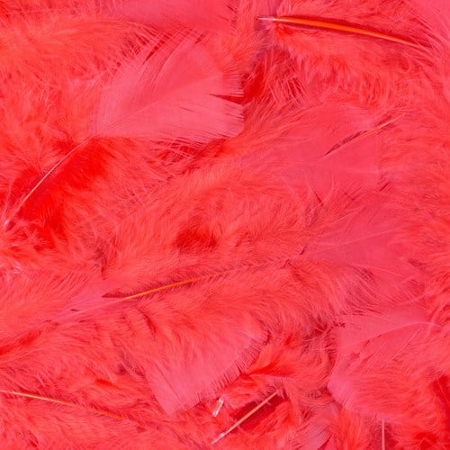 100 Veertjes Rood