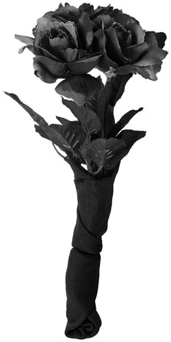 Halloween Bruidsboeket Zwarte Rozen