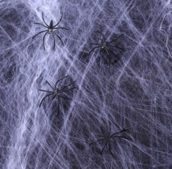 Spinnenweb Brandvertragend 500gr + 12 Spinnen 