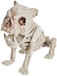 Halloween Decoratie Skelet Hond - 28cm