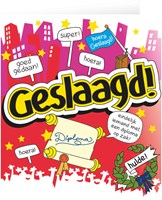 Postkaart geslaagd cartoon