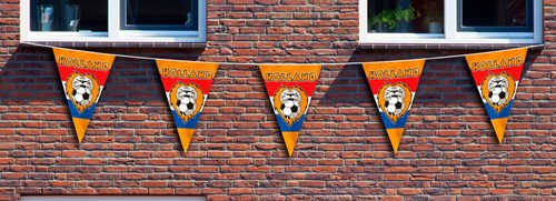 Oranje Vlaggenlijn Polyester Holland Mega - 10m 