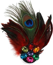 Broche Pauwenveer met Stenen Rood