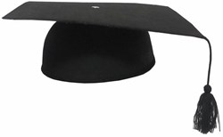 Hoed Vilt Professor