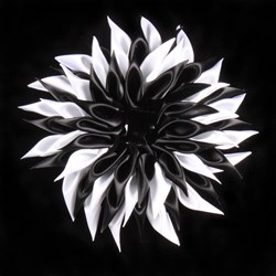 Broche Satijnen Bloem Zwart-Wit (Ø16cm)