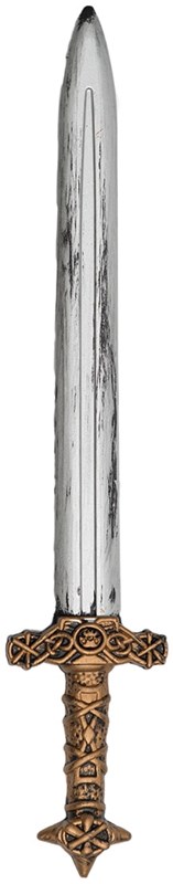 Piraten Zwaard (60cm)