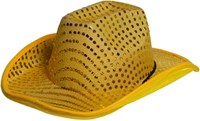 Gouden Cowboyhoed Pailletten met Licht (product)