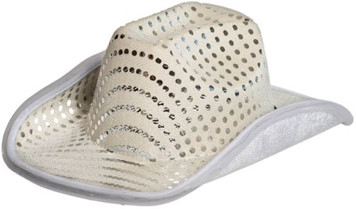 Zilveren Cowboyhoed Pailletten met Licht (product)