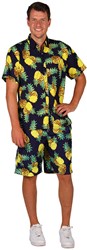 Hawaii Shorts Ananas