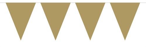 Vlaggenlijn Metallic 10mtr Goud