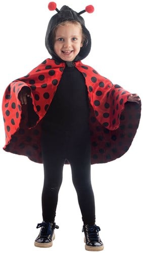Lieveheersbeestje Cape Kind