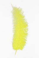 Struisvogelveren 50-60cm Geel 