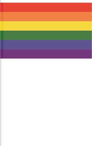 Plastic Zwaaivlag Regenboog op Stokje (20x30cm)