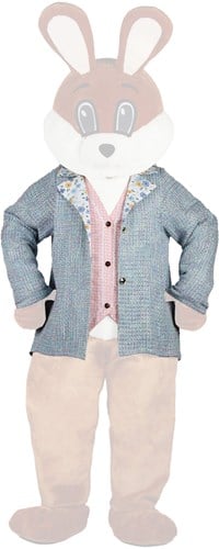 Kleding Paashaas Heer