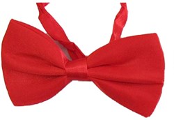Strikje Satijn Luxe Rood