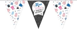 Vlaggenlijn Gender Reveal - Blue or Pink? (10m)
