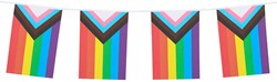 Papieren Vlaggenlijn Regenboog Progress - 6m